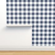 Two Inch Blue Jeans Blue and White Gingham Check