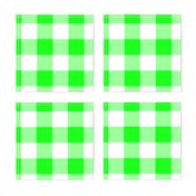 Two Inch Lime Green and White Gingham Check