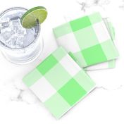 Two Inch Mint Green and White Gingham Check