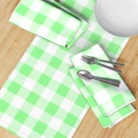Two Inch Mint Green and White Gingham Check
