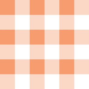 Two Inch Peach and White Gingham Check