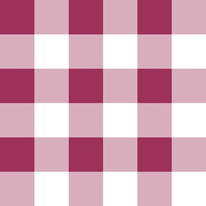 Two Inch Sangria Pink and White Gingham Check