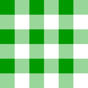 Two Inch Christmas Green and White Gingham Check