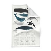 2020 whale tea towel calendar - whales by andrea lauren