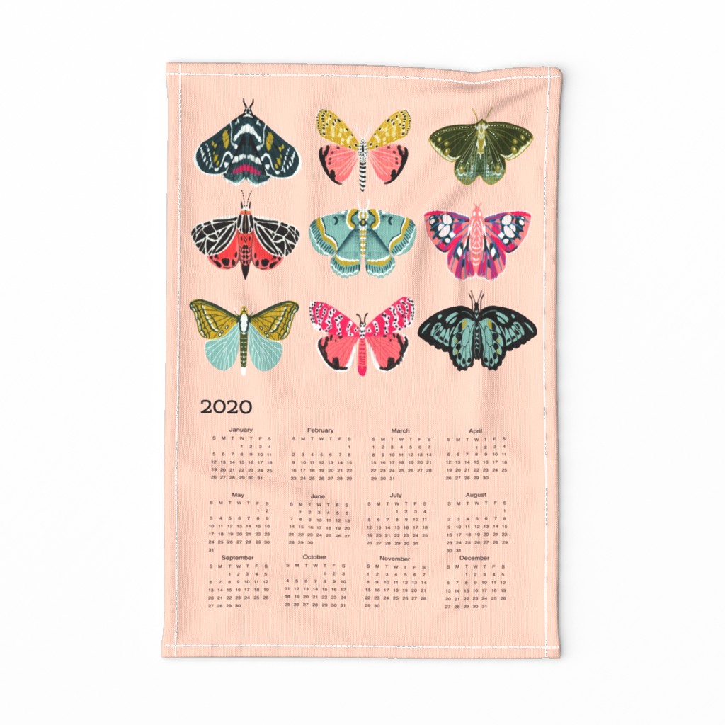 2020 moth tea towel calendar - moths by andrea lauren