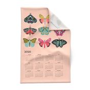 2020 moth tea towel calendar - moths by andrea lauren