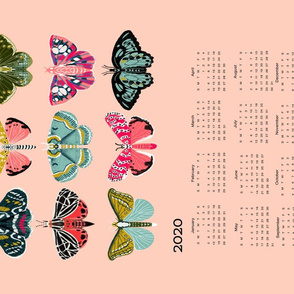 2020 moth tea towel calendar - moths by andrea lauren