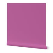 lilac purple solid