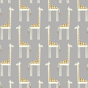 cute giraffes on grey