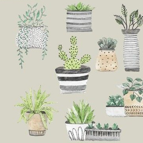 Scandinavian Cacti and Succulents on Taupe