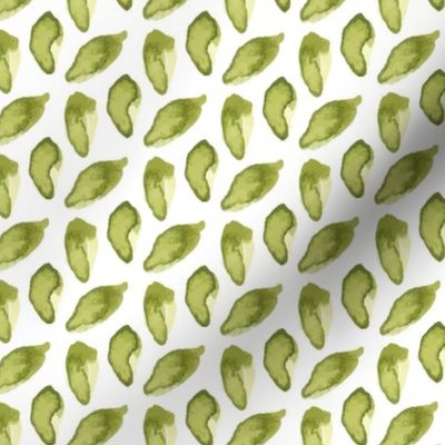 Green Watercolor Leaves || Plant leaf olive grass white _ Miss Chi