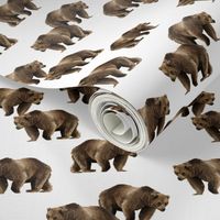 Grrrizzly Bears - Smaller Scale