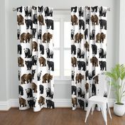 Bears Everywhere - Large Scale on White