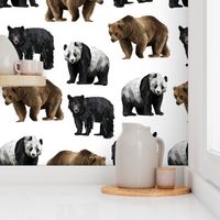 Bears Everywhere! Large Scale on White