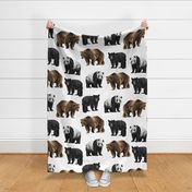 Bears Everywhere! Large Scale on White