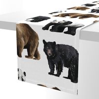 Bears Everywhere! Large Scale on White