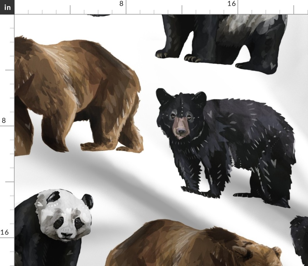 Bears Everywhere! Large Scale on White