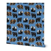 Bears Everywhere - Smaller Scale on Blue