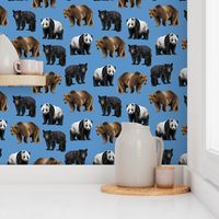 Bears Everywhere - Smaller Scale on Blue