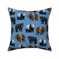Bears Everywhere - Smaller Scale on Blue