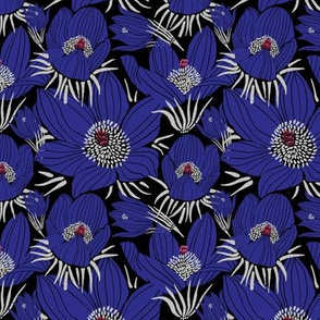 Arctic Blue Pasque flowers (black)