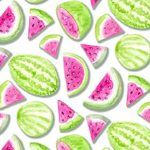 Watermelon Party