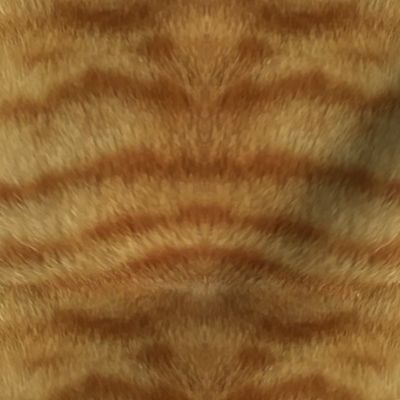 Natural Ginger Tabby Fur