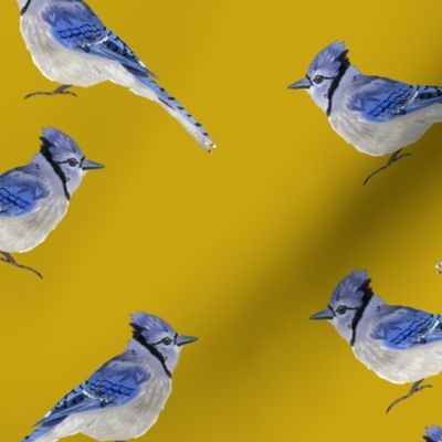 Bluejays - Mustard Background