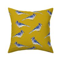 Bluejays - Mustard Background