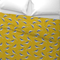 Bluejays - Mustard Background