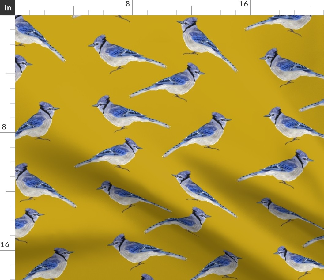 Bluejays - Mustard Background