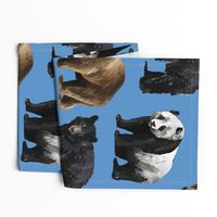 Bears Everywhere - Larger Scale on Blue