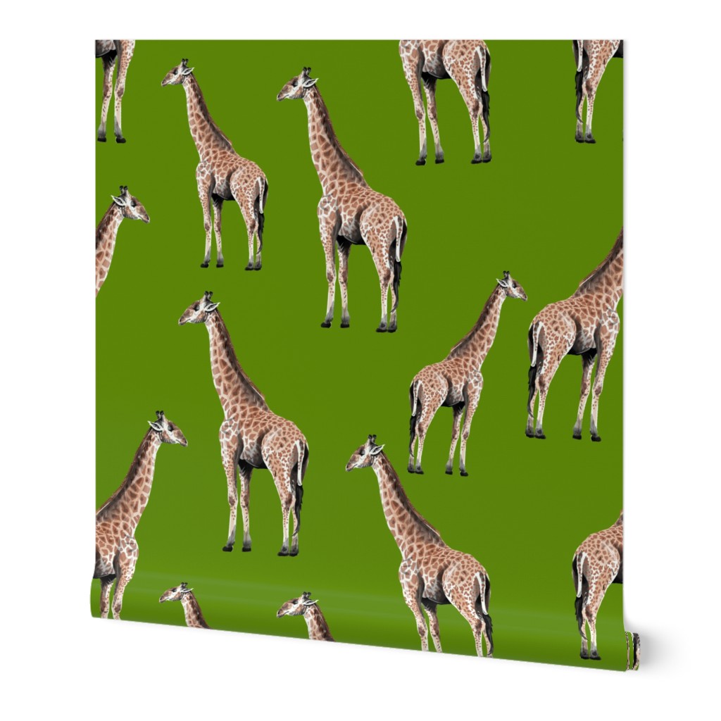 Giraffes on Green Background