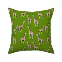 Giraffes on Green Background