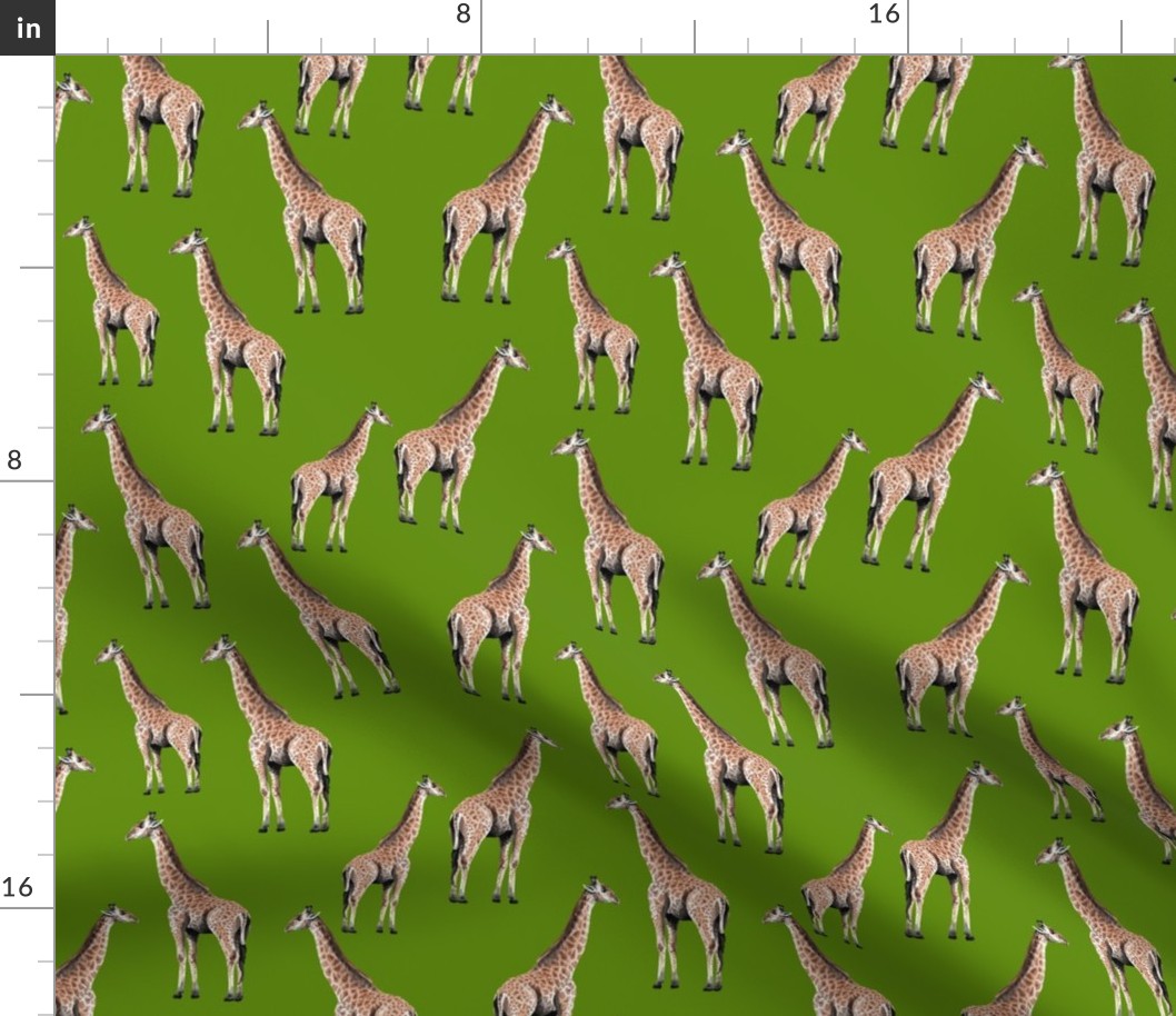 Giraffes on Green Background