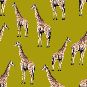 Giraffes on Mustard Background