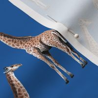 Giraffes on Blue Background
