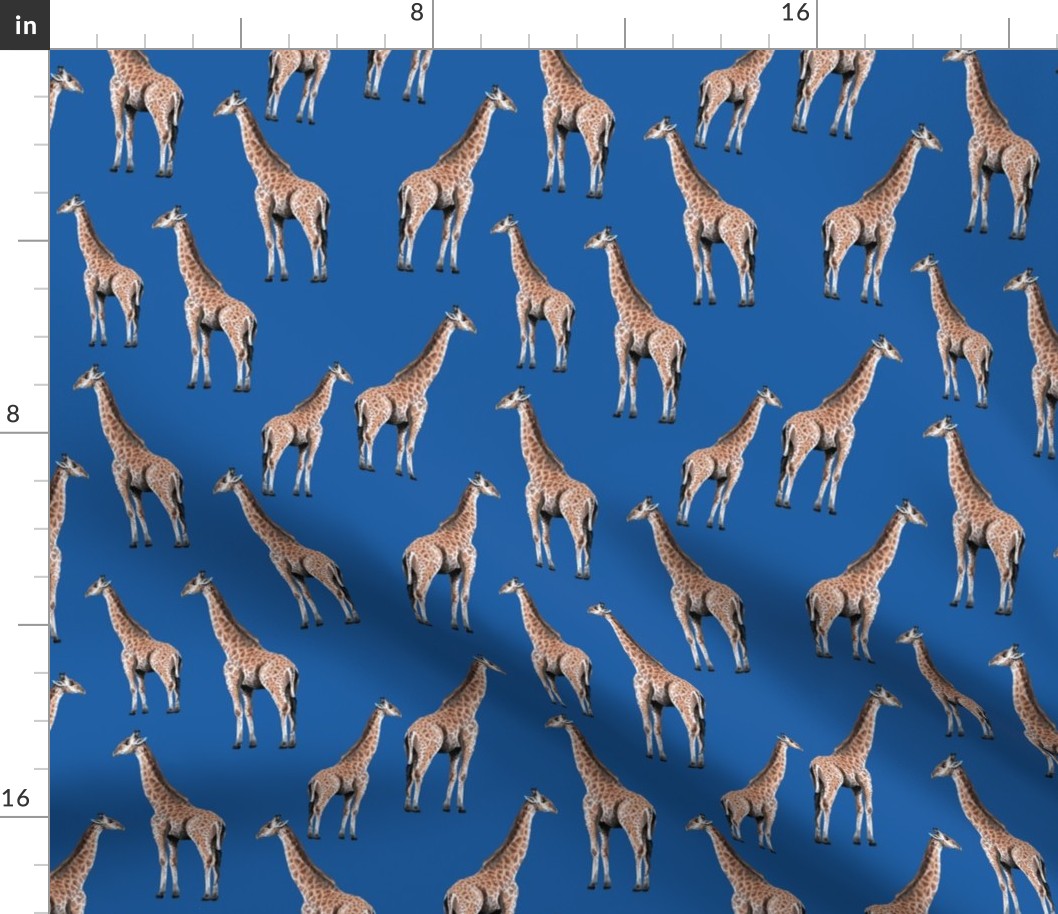 Giraffes on Blue Background