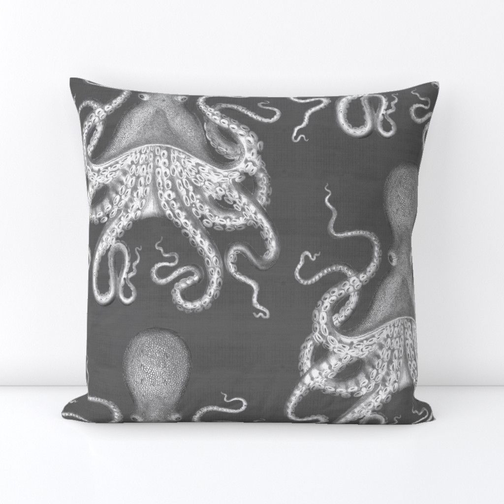 Octopus Oasis // Gray