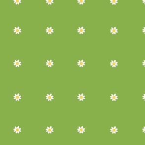Daisies On Green