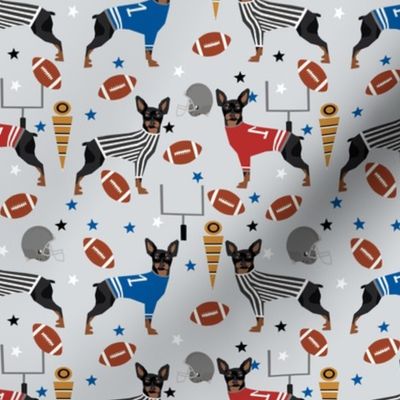 Miniature Doberman Pinscher dog football sports fabric grey