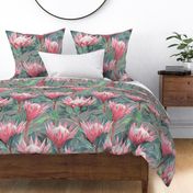 Painted King Proteas - pink on mid grey LARGE