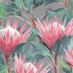 Painted King Proteas - pink on mid grey LARGE