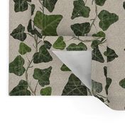 stucco_ivy_medium