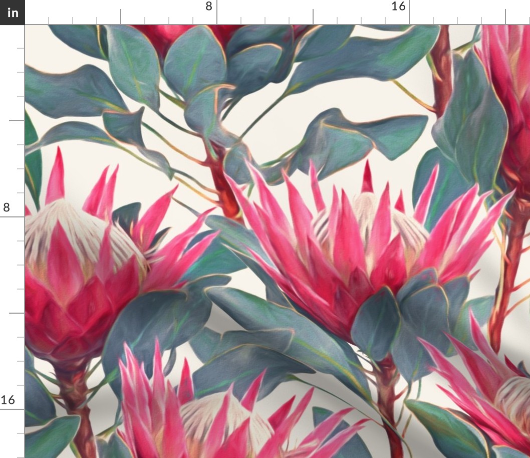 Painted King Proteas - hot pink on cream LARGE