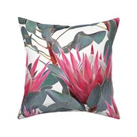Painted King Proteas - pink on white LARGE