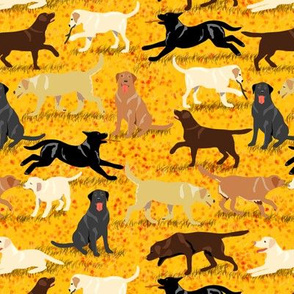 Labradors are Fetching in Autumn