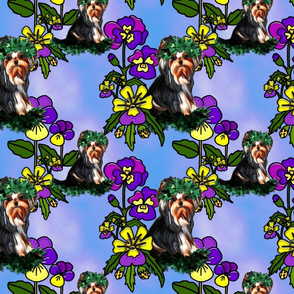 Yorkie Pansy Sky