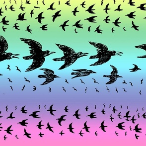 caw caw rainbow pastel