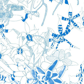 Orchidarium Blue on White 150L